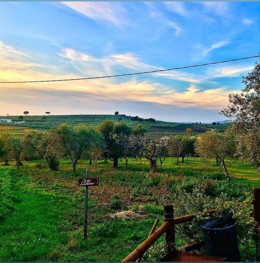Fattoria Rovello Bauernhof
